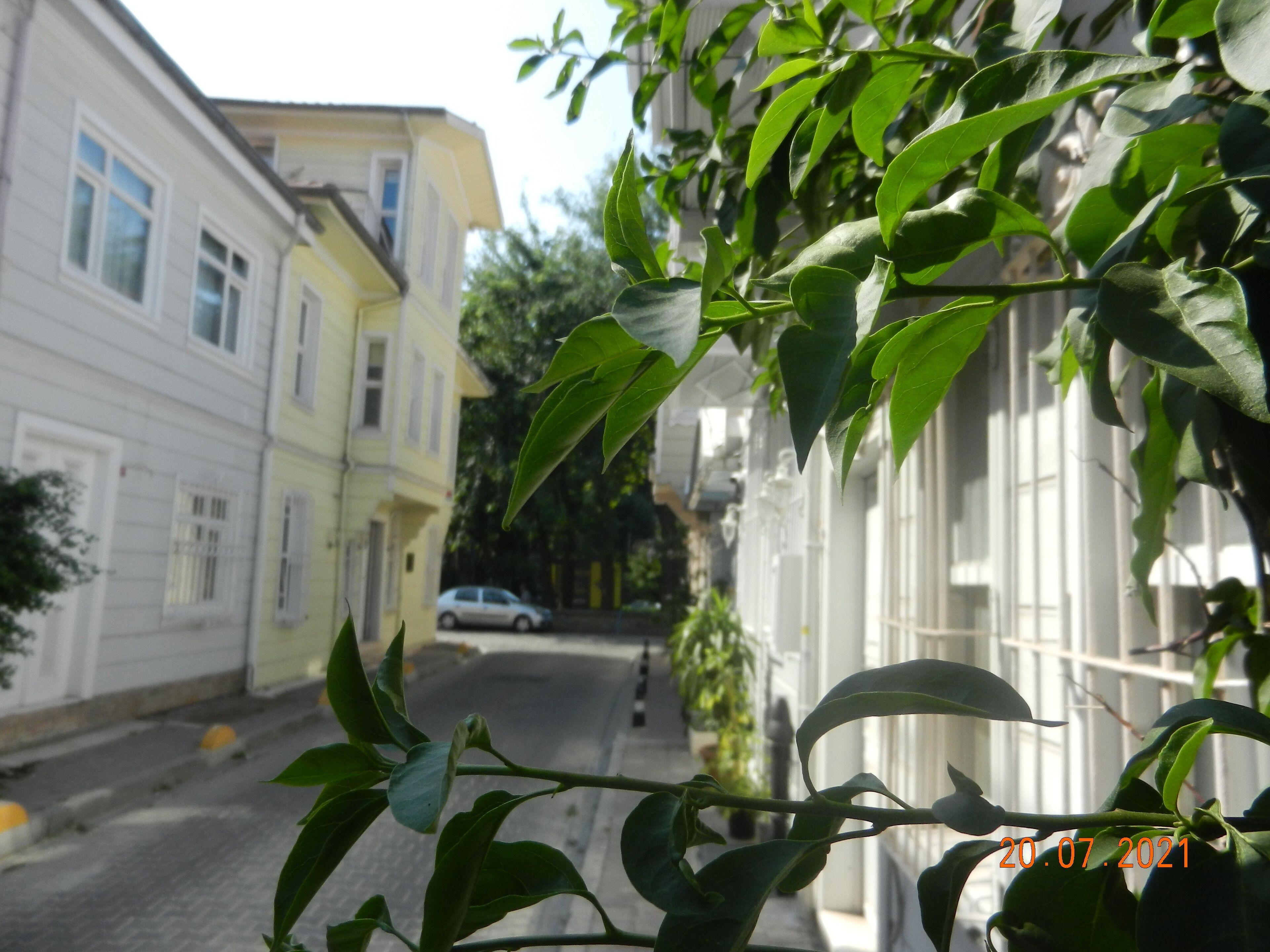 Royal Suites Sultanahmet — Photos 2